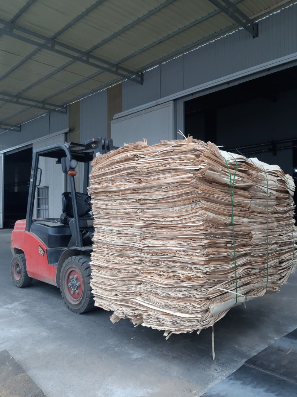 Importation for the HOIANA project