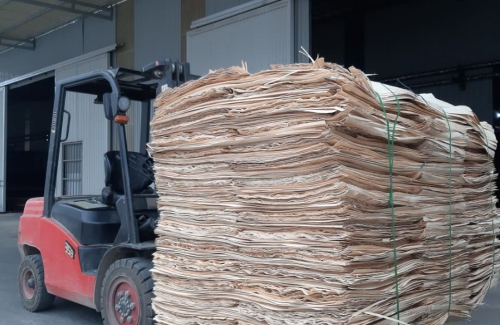 Importation for the HOIANA project